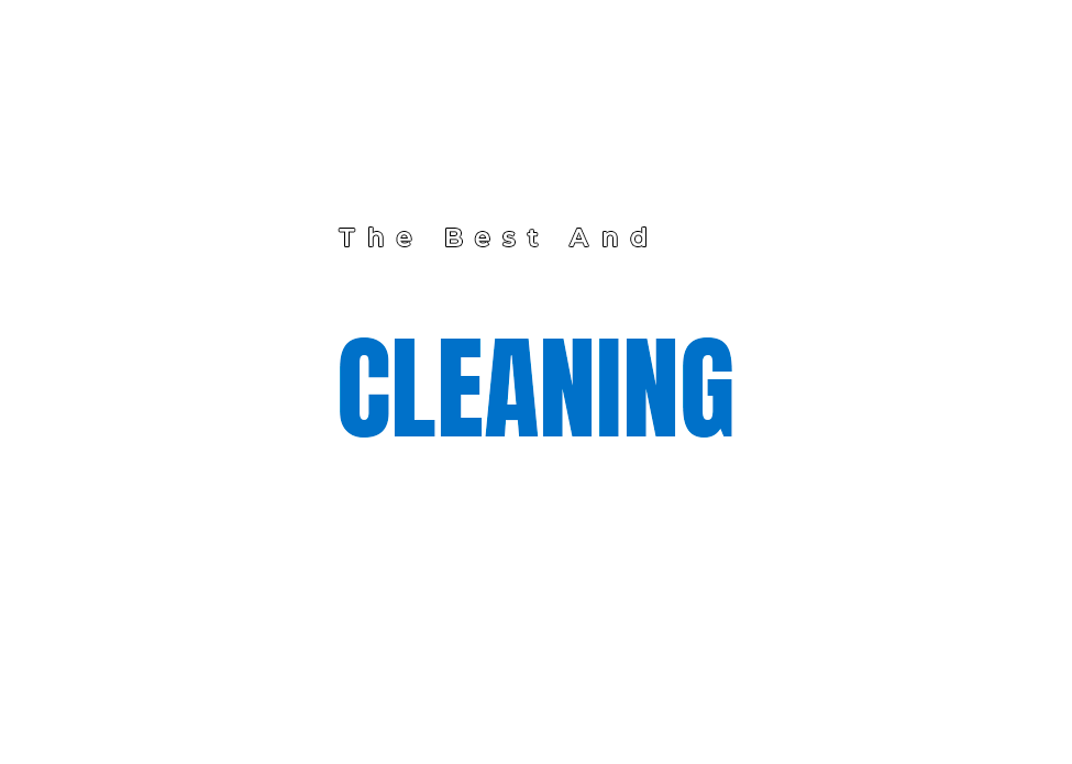 Professional Cleaning Services Text