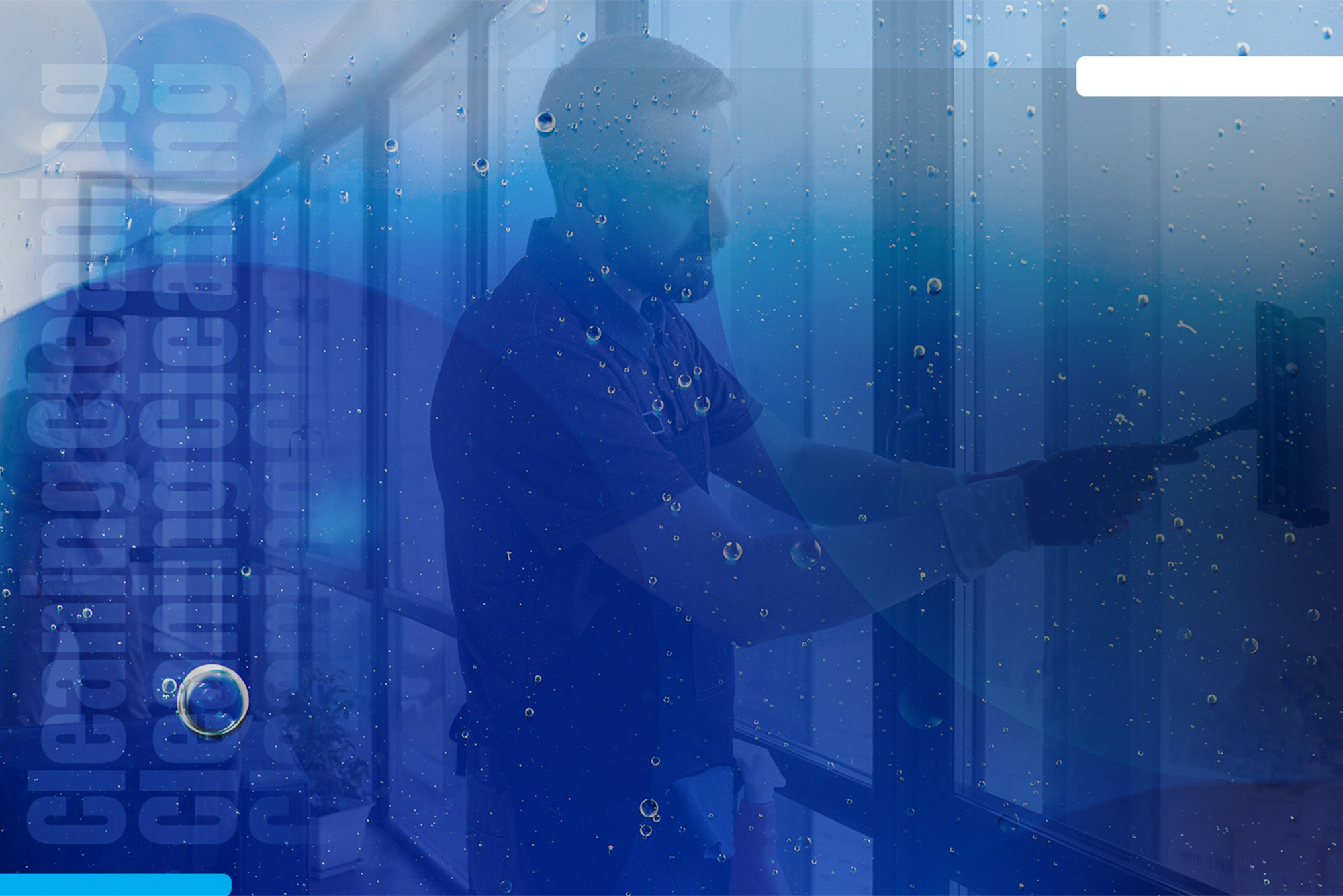 Diamond Cleaning Services